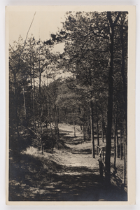 18100 Gezicht in het bos bij het sanatorium Zonnegloren (Soesterbergsestraat) te Soest.
